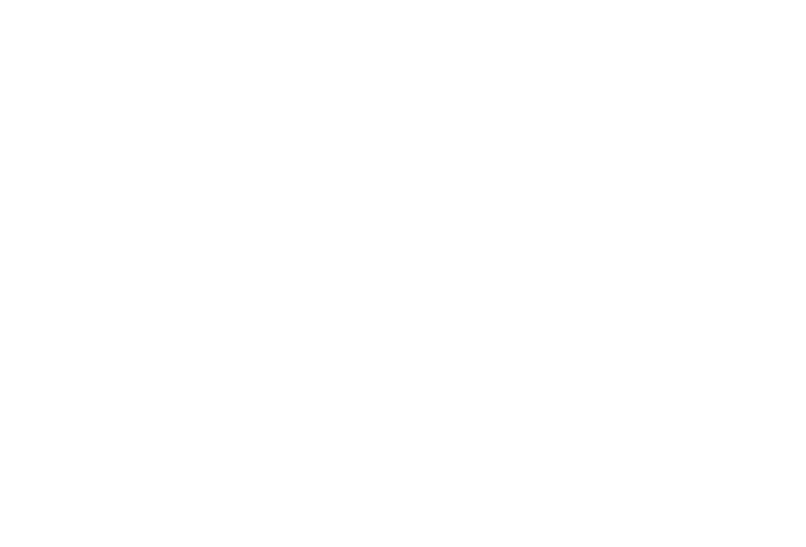 Team structure diagram